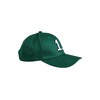 Shxinet A.J. Brown 11# Green Embroidered Baseball Cap Flat Brim