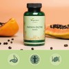 Papaya Enzyme Vegavero® | 1500mg Papain | 100% Natural: Carica