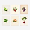 Vegetable Wall Art Prints Set of 6 Botanical Illustrations for