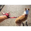 EzyDog Handy Leash - Hands Free Dog Lead Black