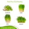 HOME GROWN Cat Grass Seeds - Grow Cat Grass for