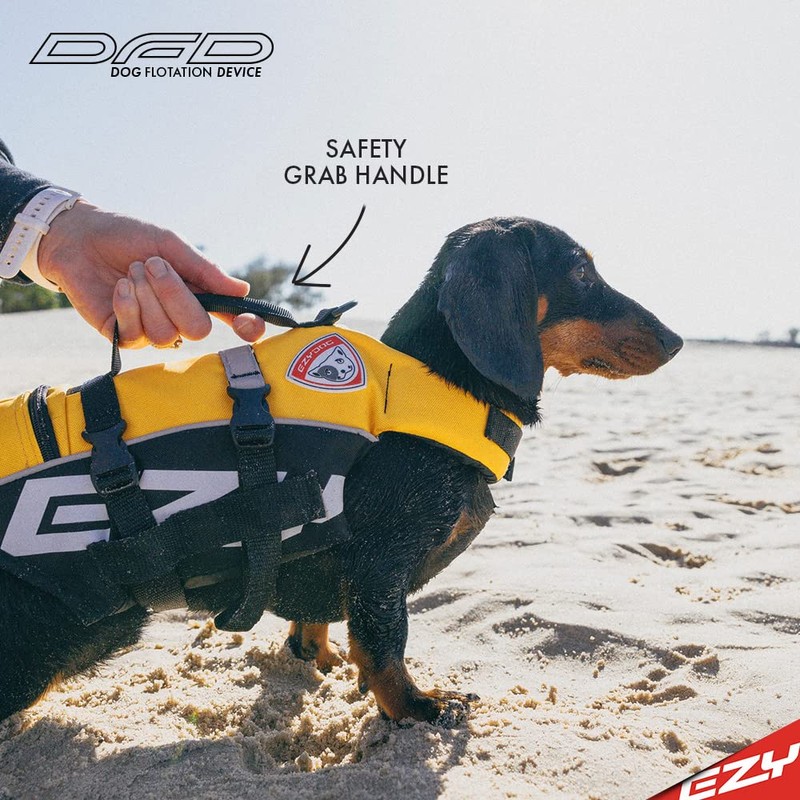 EZYDOG DFD Life Jacket | Lifejacket, Boating, Dog Friendly, Paddle