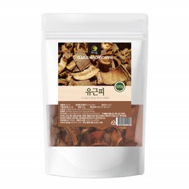 Mom's son Elm tree root bark, elm root bark, elm tree root bark tea / 느릅나무 뿌리 껍질 유근피 나무 누릅나무 유근피차
