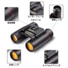 軽量コンパクトなオペラグラス 双 眼鏡 防振 ライブ用 ドーム コンサート 旅行に最適 調整可能 ネックストラップ付き