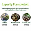 Sea Moss Capsules with Bladderwrack & Burdock Root High Strength