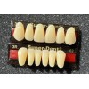 SuperDent Acrylic Resin False Teeth Super-Dent Anterior Upper/Lower Set A2/3R dentures
