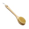 Body Brush, Long Handle 14 inches, Hog Hair, Japanese Hinoki