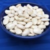 Greek Gigantes Beans 20+ fresh seeds