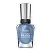 Sally Hansen Complete Salon Manicure - 538 Spirit Animal