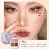 GlamColour Glam Color Eyeshadow SNS Popular Eyeshadow Palette High Coloring