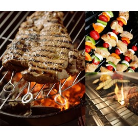 HONSHEN 10 Inch Metal Barbecue Skewers, Stainless Steel BBQ Skewers, Shish Kebab Kabob Skewers 12 Pcs