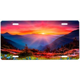 Onestopairbrushshop Mountain Scene license plate