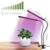 Grow Lights for Indoor Plants - Red & Blue Spectrum