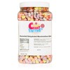 Sarah's Candy Factory Assorted Dehydrated Marshmallow Bits in Jar, 8