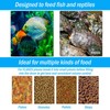 AquaMiracle Programmable Automatic Fish Feeder for Aquarium, Auto Fish Food