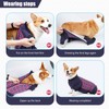 Pinellia Dog Recovery Suit, Abdominal Wound After Surgery Wear, Anti