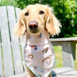 Lucy & Co. Dog Bandana - Designer Puppy Accessory for Boy and Girl Dogs. Made of 100% Polyester. Soft, stylish and appropriate for any occasion. Machine Washable.