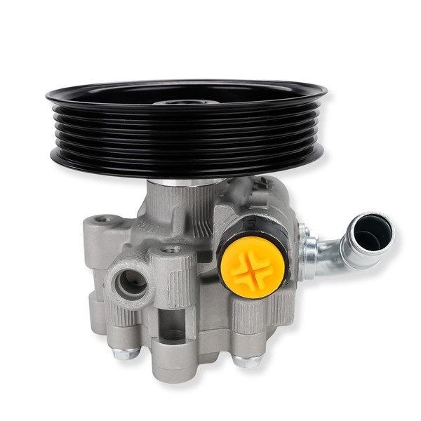 WMPHE Power Steering Pump with Pulley Compatible with Chrysler 300