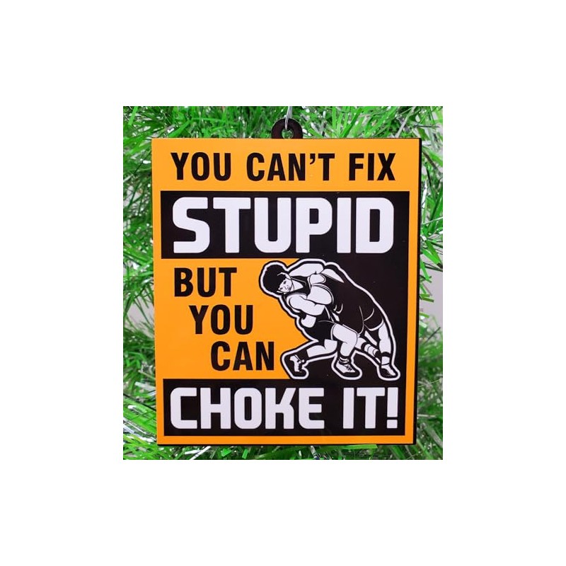 Generic Wrestling Ornament - You Can't Fix Stupid But You