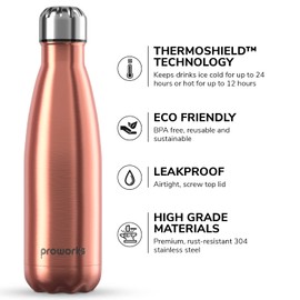 Proworks Stainless Steel Drinking Bottle, 24 Hours Cold and 12 Hours Hot, Premium Vacuum Water Bottle, Insulated and Perfect for Sports, Running, Cycling, Yoga, Hiking & Camping, 500 ml / 750 ml / 1 Litre, Copper, 350ml
