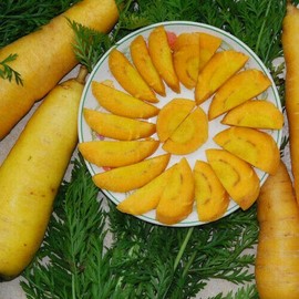 Solar Yellow Carrot 100, 300, 1000, 2000 Seeds Heirloom Colorful Beautiful Rare (Number of Seeds: 1000 Seeds) (1000 Seeds)