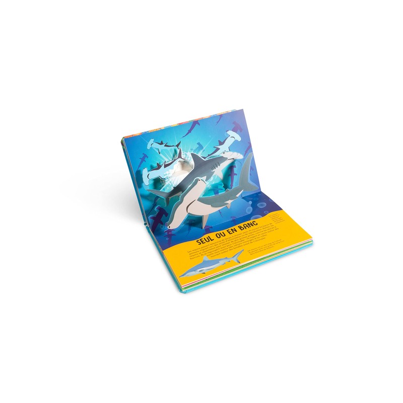 Nature pop-up - Requins