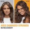 Neutrogena Healthy Scalp Rapid Renewal Conditioner with Pea Protein &