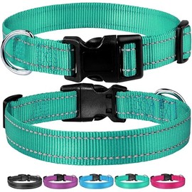 Dog Collar, Reflective Nylon Dog Collars, Adjustable with Quick Release Buckle for Small Medium Large Dogs (TURQUOISE, XS)