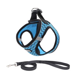 Suredoo Dog Harness with Lead, Anti-Pull Chest Harness, Reflective, for Small, Medium Dogs, Pets, Puppies, Cats (L, Blue)