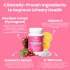 Vita Bloom Labs UroDefend UTI Protection Formula | Cranberry PACs