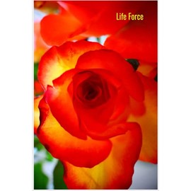 Life Force: Flower Notebook, Sensual Roses, Travel Journal