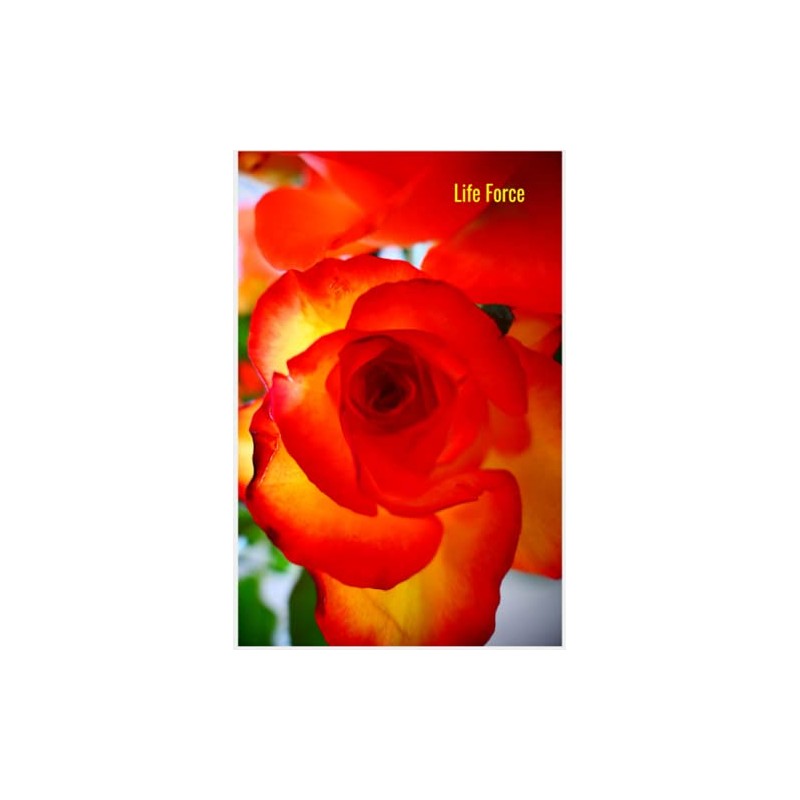 Life Force: Flower Notebook, Sensual Roses, Travel Journal