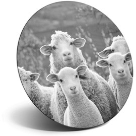 Destination Vinyl ltd Magnet for Refrigerator, Fridge BW - Sheep Flock Farm Farmer Cute Funny for Office, Cabinet and Whiteboard, Magnetic Stickers, 43513