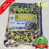 Mexican Herbs Moringa, Organic moringa Oleifera,Premium moringa seeds, semillas de