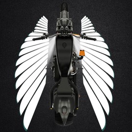 OBEST Motorcycle Modification Light, Angel Wings Coloured LED Light, Mobile App Control, No Drilling, Motorcycle Welcome Atmosphere Light, Both Sides of the Car + Rear Wing, Suitable for All Models