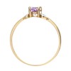 Citerna 9 ct Yellow and White Gold Amethyst Birth Stone