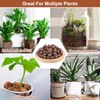 Riare 4 LBS Organic Expanded Clay Pebbles for Plants- 4mm-16mm
