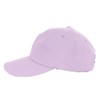 Champion 161-0134 Cap, purple