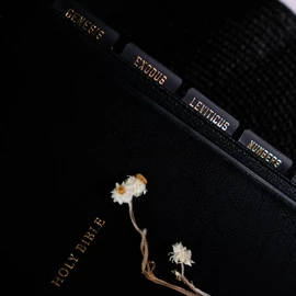 UPAFEXXI-Laminated Bible Tabs (Gold Foil Embossed Lettering), Bible Tabs for Women and Men, Reposition Large Print Stickers, Easy to Read and Apply, 80Chapters Labels for Easy Navigation(Black)