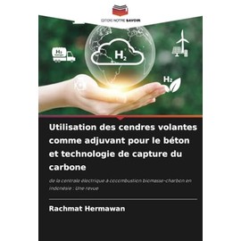 Utilisation des cendres volantes comme adjuvant pour le béton et technologie de capture du carbone: de la centrale électrique à cocombustion biomasse-charbon en indonésie : Une revue