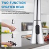 HOMELODY 2 Handles Kitchen Faucet with Pull Down Sprayer for