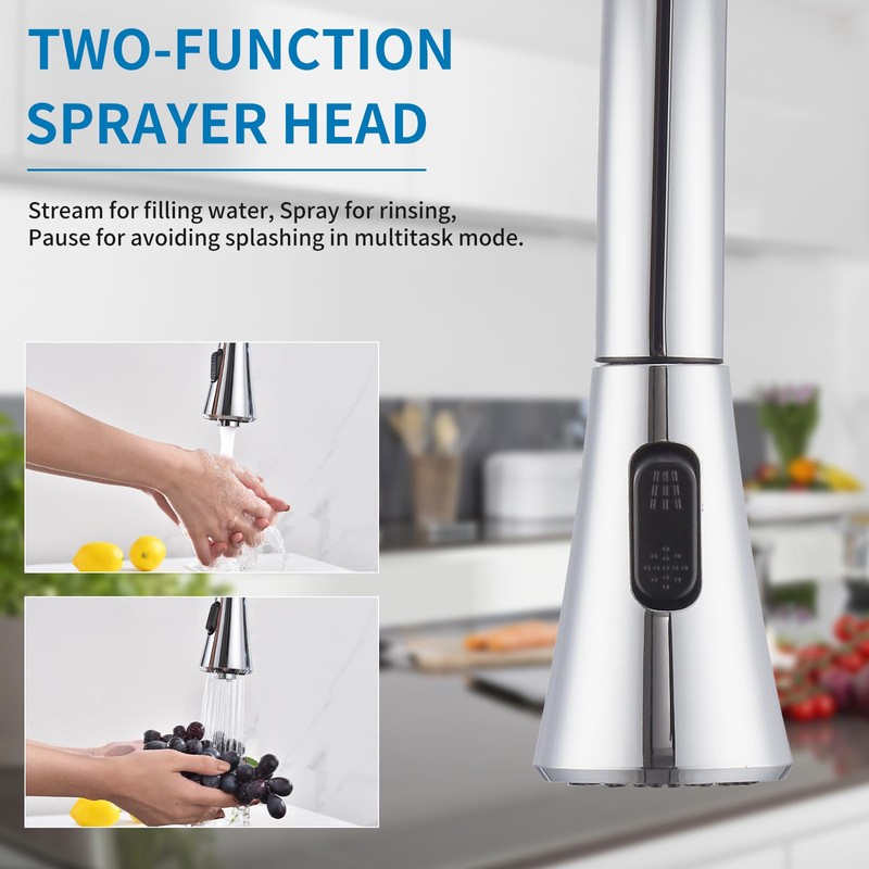 HOMELODY 2 Handles Kitchen Faucet with Pull Down Sprayer for