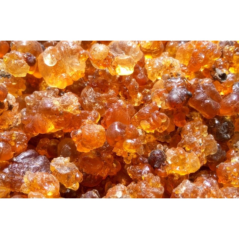 Wild Natural Tao Jiao Peach Resin Gum 桃胶 1 LB