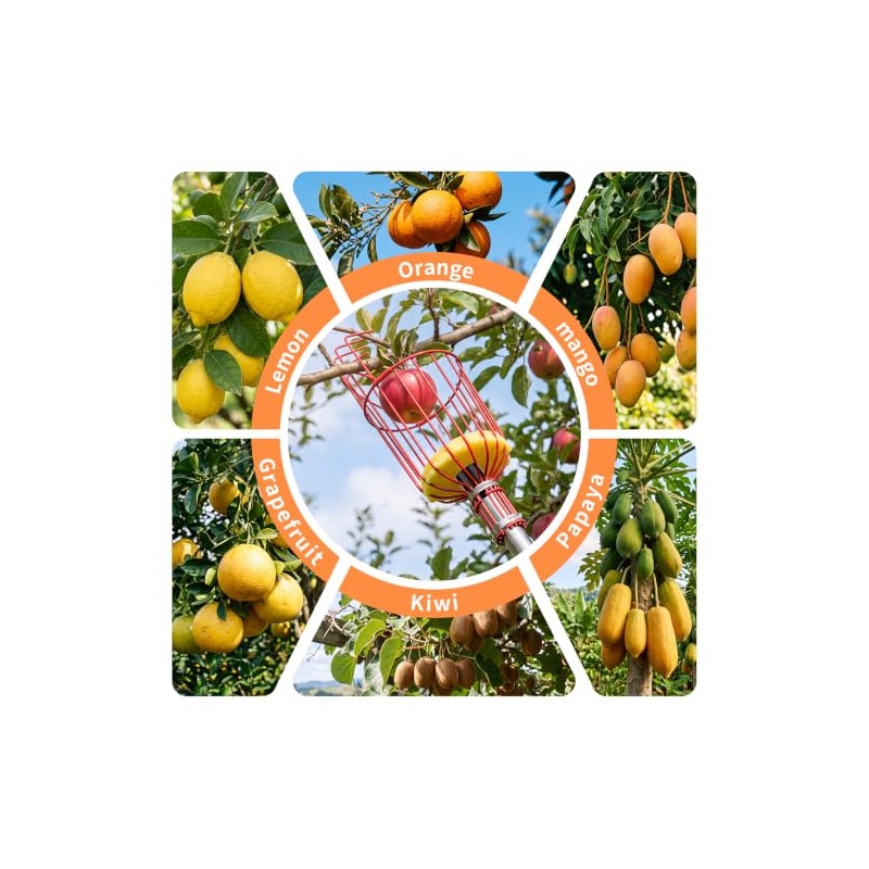 Apple Picker with Telescopic Handle, Apple Picker with Telescopic Handle,Fruit