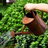 SunnyTong Metal Watering Can for Outdoor and Indoor Plants, Watering