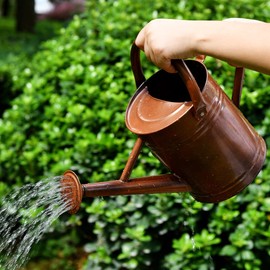 SunnyTong Metal Watering Can for Outdoor and Indoor Plants, Watering Can Decor, 1 Gallon (1 Gallon Copper)