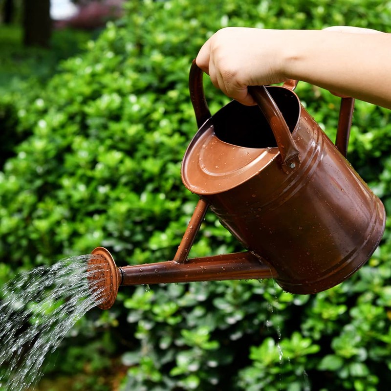 SunnyTong Metal Watering Can for Outdoor and Indoor Plants, Watering