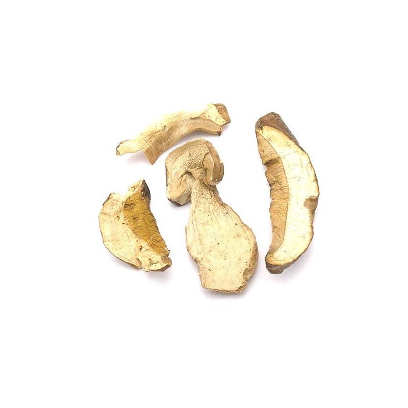 Mushroom House Dried Porcini Mushrooms Grade AAA Premium, 1 Pound