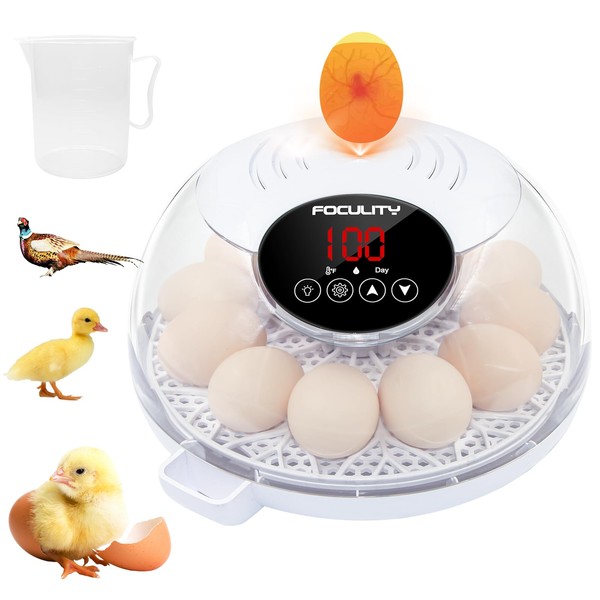 Egg Incubator for Hatching Chicks, Holds 12 Eggs, Automatic Egg