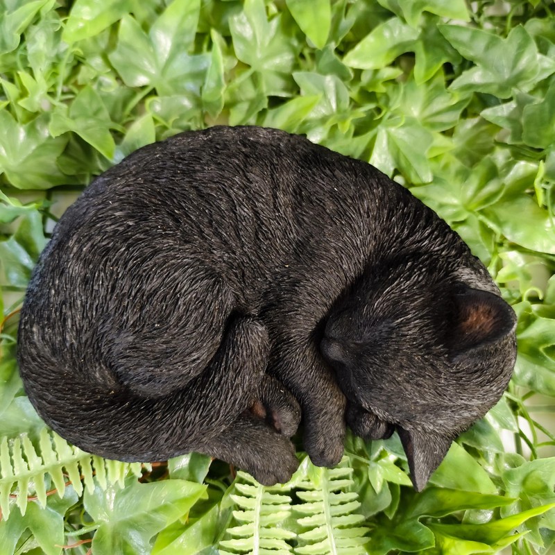 Vivid Arts - Sleeping Cat Black - XRL-ZC37-D
